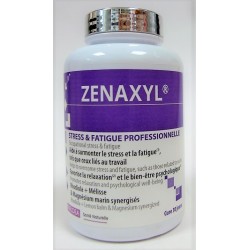 INELDEA - ZENAXYL Stress & Fatigue professionnelle